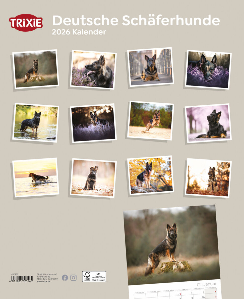 Kalender Deutsche Schäferhunde