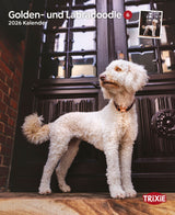 Kalender Golden-und Labradoodle