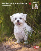 Kalender Malteser/Havaneser