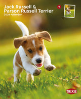 Kalender Jack Russell & Parson Russell Terrier