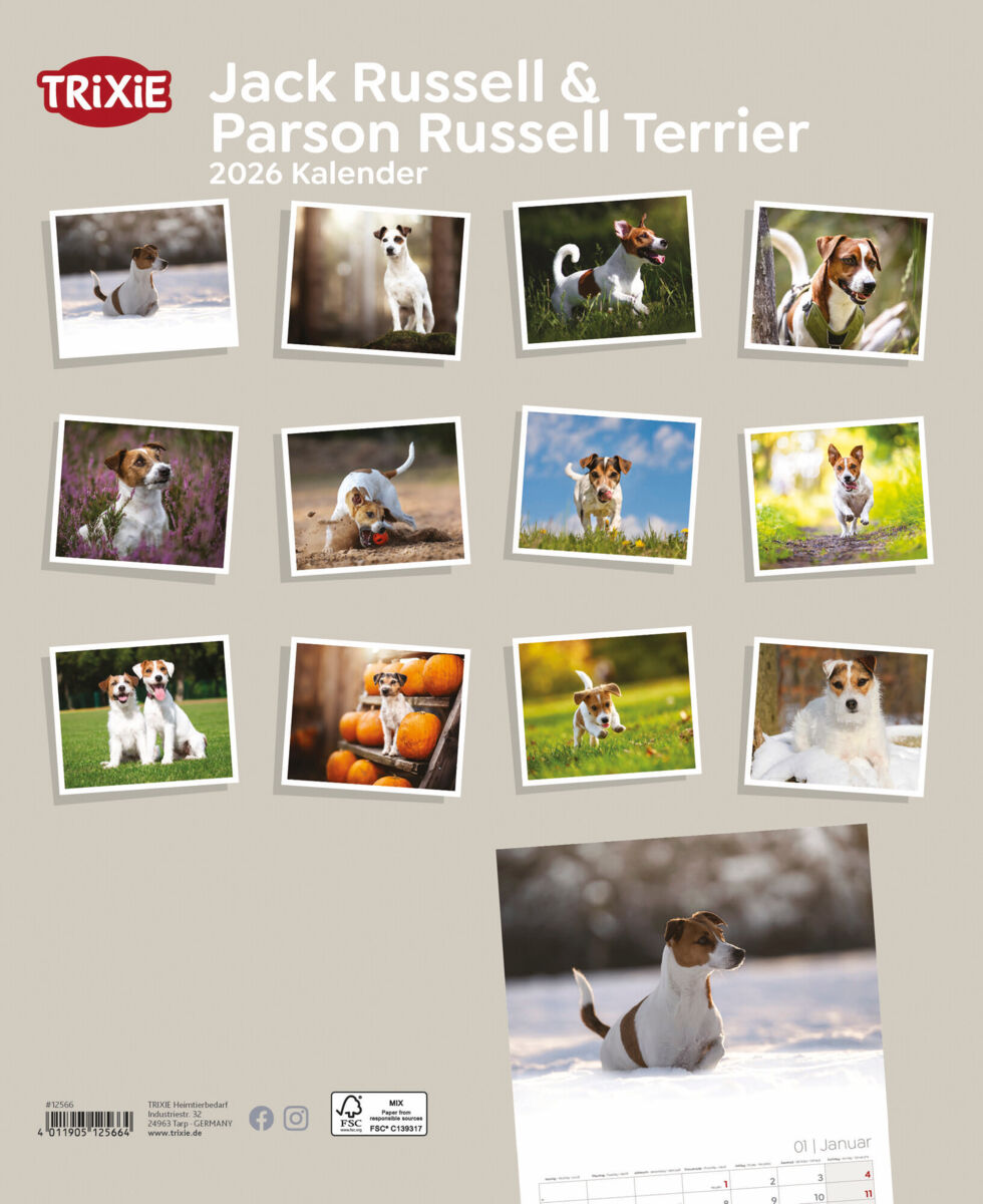 Kalender Jack Russell & Parson Russell Terrier