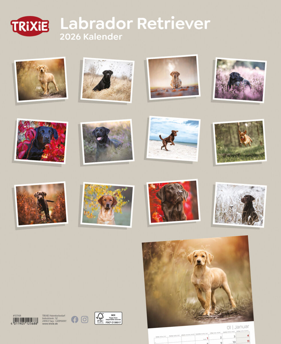 Kalender Labrador Retriever