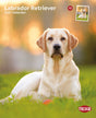 Ein Labrador Retriever liegt auf einer Wiese, daneben ein orange-blaues Spielzeug. "TRIXIE" Logo sichtbar.