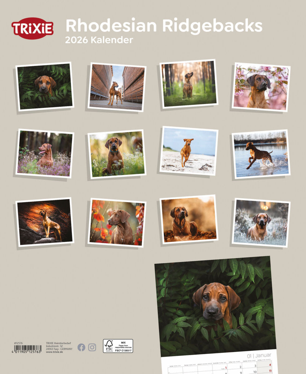 Kalender Rhodesian Ridgebacks