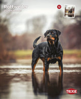 Kalender Rottweiler