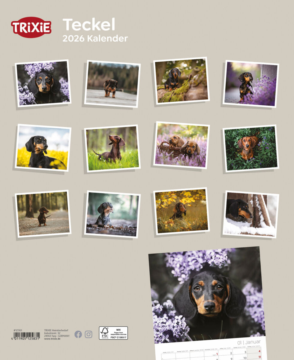 Kalender Teckel