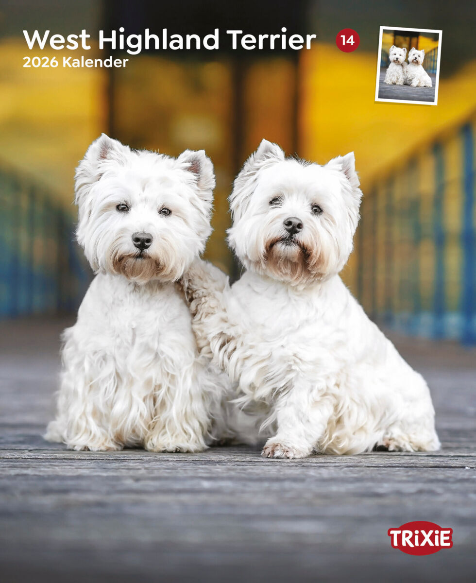 Kalender West Highland Terrier