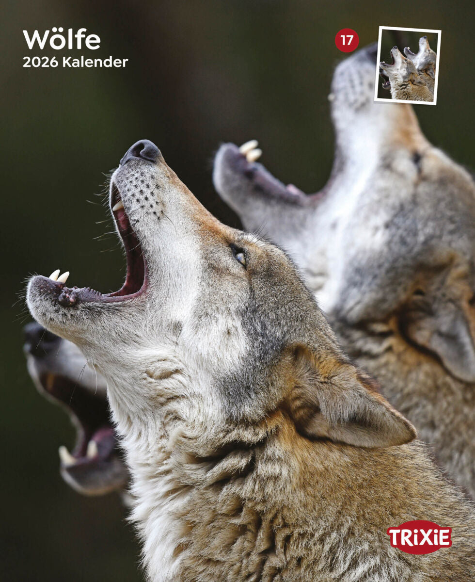 Kalender Wölfe