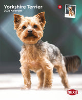 Kalender Yorkshire Terrier