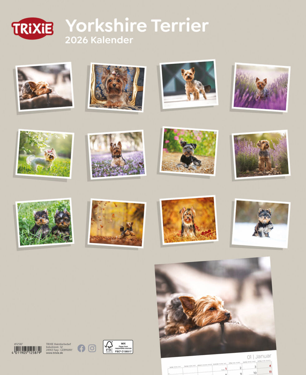 Kalender Yorkshire Terrier