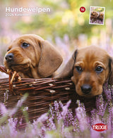 Kalender Hundewelpen