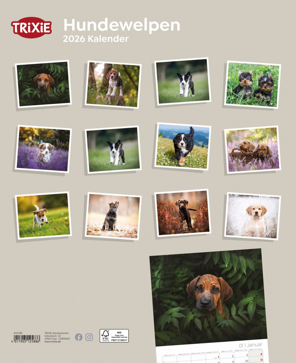 Kalender Hundewelpen