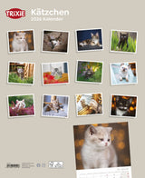 Kalender Kätzchen