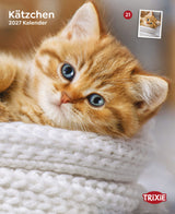Kalender Kätzchen