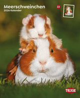 Kalender Meerschweinchen