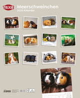 Kalender Meerschweinchen