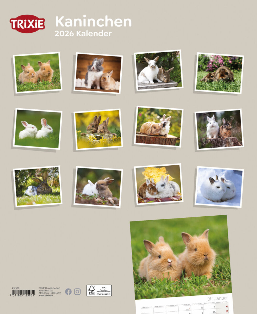 Kalender Kaninchen