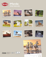 Kalender Pferde