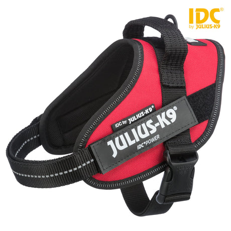 Rotes Julius-K9 Hundegeschirr mit schwarzem Rand und schwarzer Schnalle, seitlich mit aufgenähtem Label.