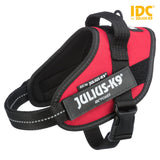 Rotes Julius-K9 Hundegeschirr mit schwarzem Rand und schwarzer Schnalle, seitlich mit aufgenähtem Label.