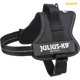 Schwarzes Hundegeschirr mit der Aufschrift "Julius-K9" und reflektierenden Streifen, hinten eine Schnalle.