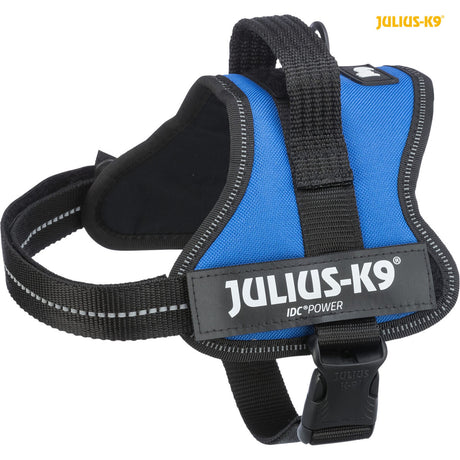 Blaues Geschirr mit schwarzen Riemen und weißem Aufdruck "Julius-K9", Clipverschluss vorne sichtbar.