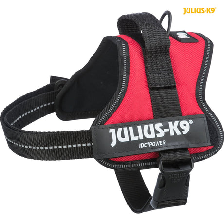 Rotes Hundegeschirr mit schwarzem Verschluss und reflektierenden Details, Markenname "Julius-K9" sichtbar.