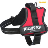 Rotes Hundegeschirr mit schwarzem Verschluss und reflektierenden Details, Markenname "Julius-K9" sichtbar.