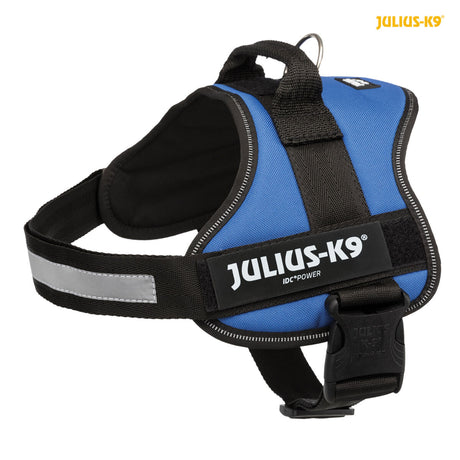 Hundegeschirr in Schwarz und Blau mit reflektierendem Streifen, Logo "Julius-K9" auf der Seite sichtbar.