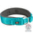 Türkises Hundehalsband mit schwarzer Polsterung, silbernem D-Ring und "TRIXIE"-Logo, Siegel unten rechts.