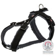 Schwarzes und graues Hundegeschirr mit Schnallen und D-Ring, daneben ein Animal-Welfare-Logo.