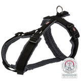 Schwarzes und graues Hundegeschirr mit Schnallen und D-Ring, daneben ein Animal-Welfare-Logo.