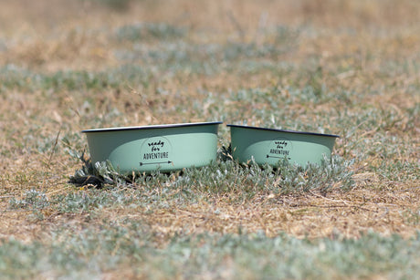 Zwei grüne Schüsseln auf Gras mit Aufschrift "ready for adventure", im Hintergrund verschwommene Wiese.