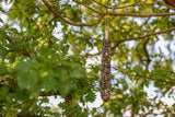 Vogelfutterschale hängt an einem Ast in einem Baum mit grünen Blättern unter blauem Himmel.