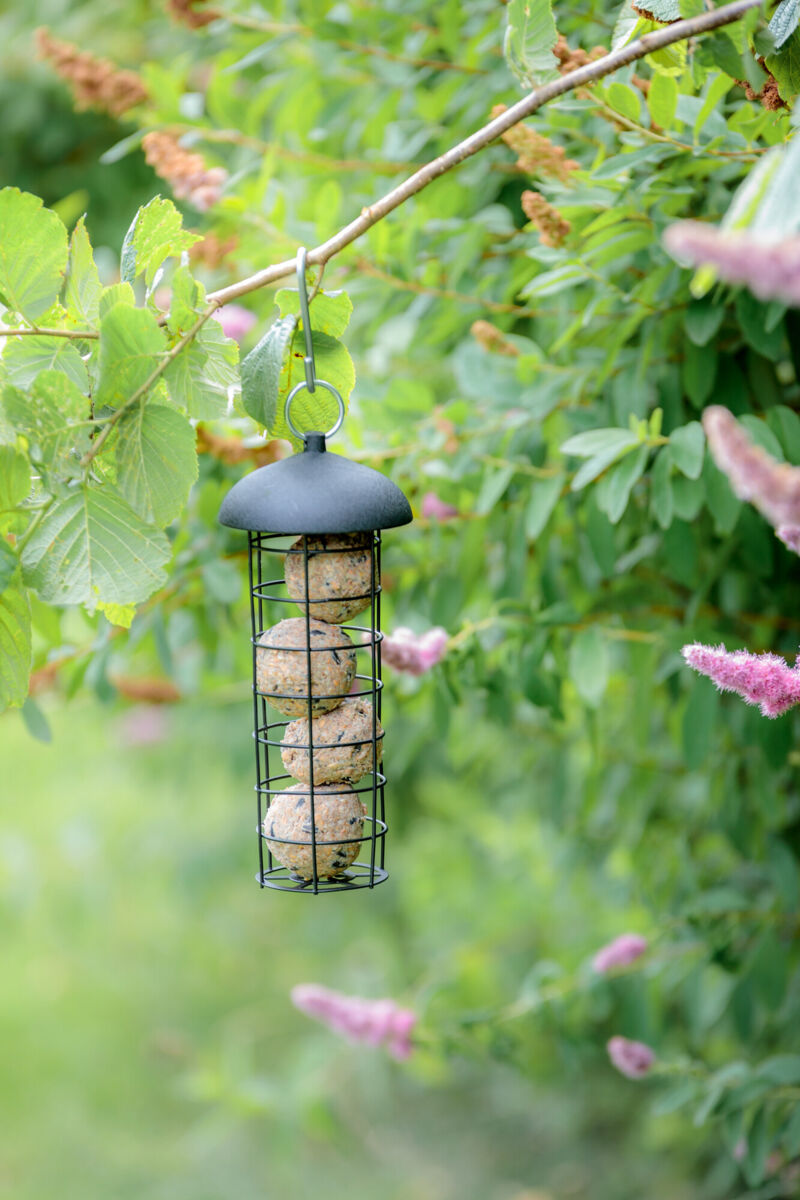 Futterspender mit schwarzen Gitterkörben und Knödeln, hängt an einem Ast umgeben von grünem Laub und lila Blüten.