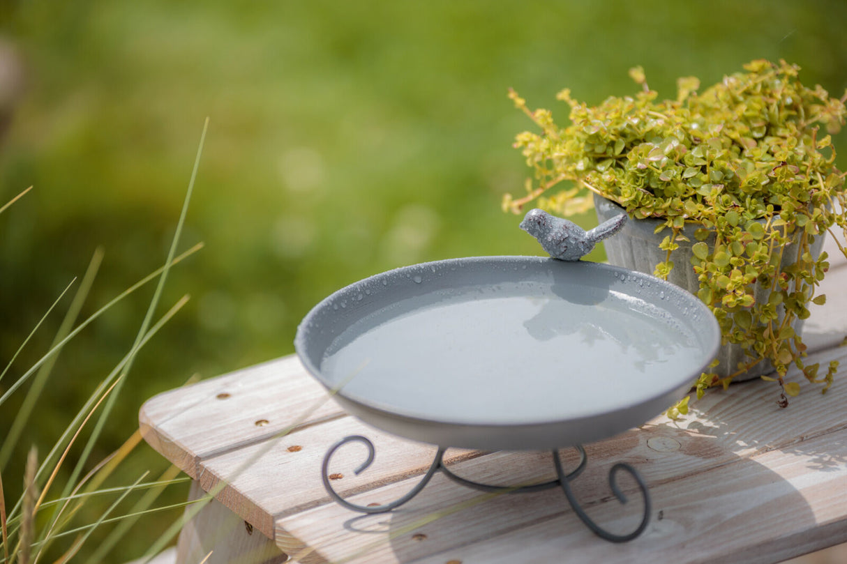 Graue Vogeltränke auf einem Holztisch mit dekorativer Vogelstatue am Rand, daneben ein Topf mit Pflanzen, im Hintergrund Wiese.