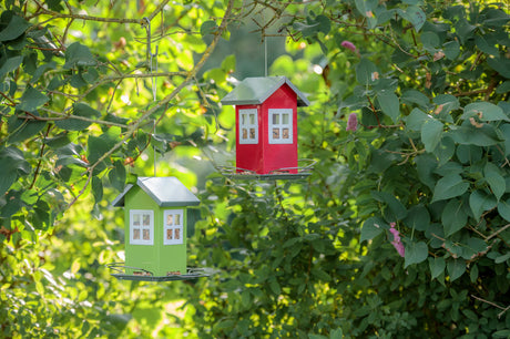 Zwei Vogelhäuschen in Hausform, eines rot und eines grün, hängen an Ästen in grünem Laubwerk.