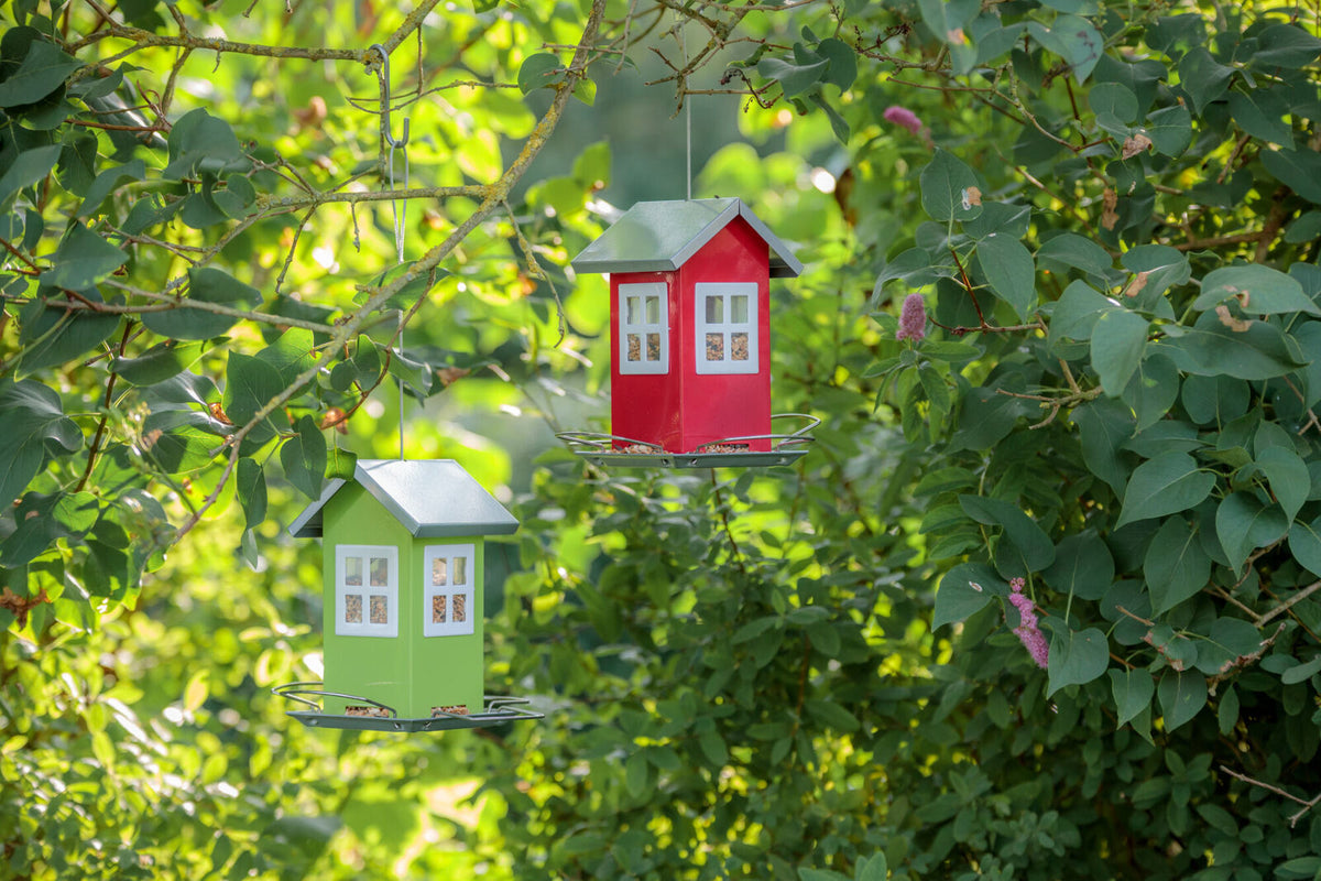 Zwei Vogelhäuschen in Hausform, eines rot und eines grün, hängen an Ästen in grünem Laubwerk.