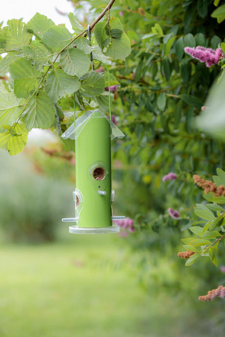 Ein grüner Vogelfutterspender hängt an einem Ast mit dichtem Laub und Blumen im Hintergrund.