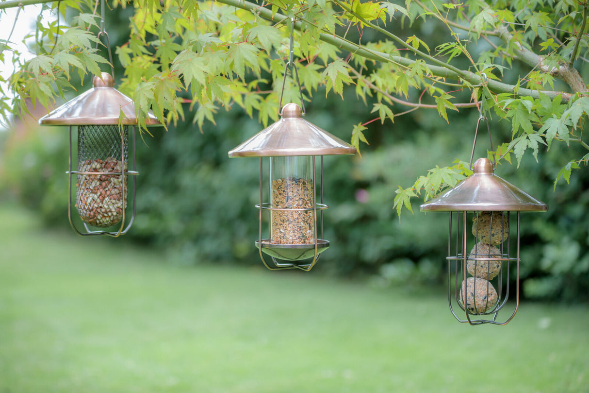 Drei Vogelfutterstationen aus Metall mit kupferfarbenen Dächern, befüllt mit Samen und Futterbällen, hängen an einem Ast.