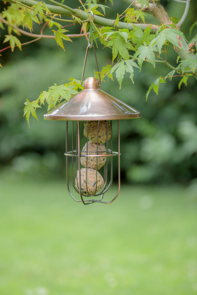 Metallener Vogel-Futterspender in Käfigform hängt an einem Ast mit grünen Blättern.