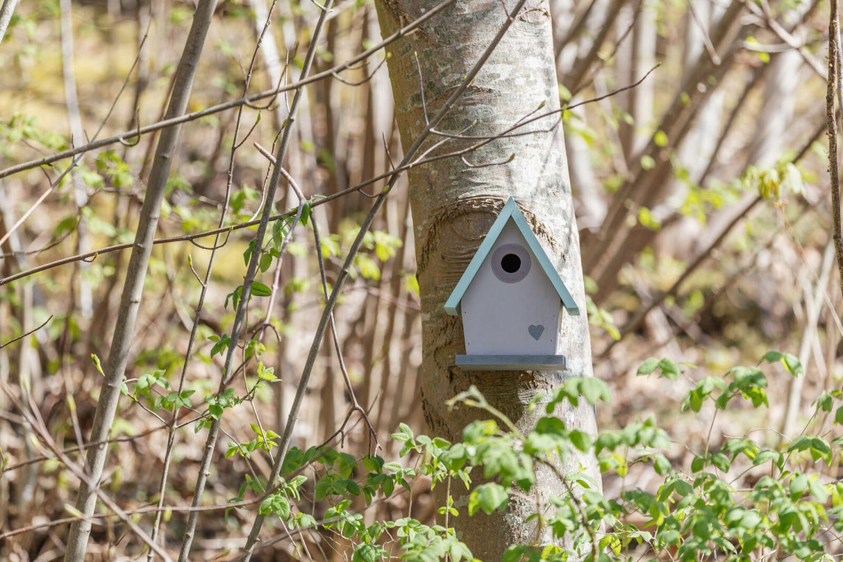 Ein kleines, graues Vogelhaus mit blauer Dachkante ist an einem Baum im Wald befestigt, umgeben von grünem Laub.