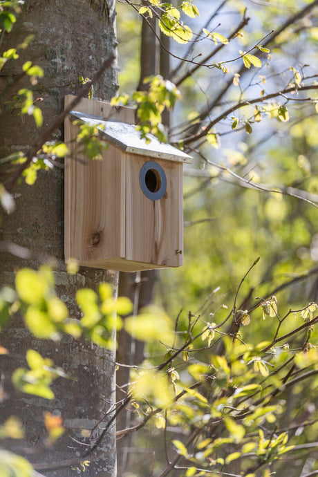 Ein hölzernes Vogelhaus mit rundem Eingang hängt an einem Baum, umgeben von grünen Blättern und Ästen.