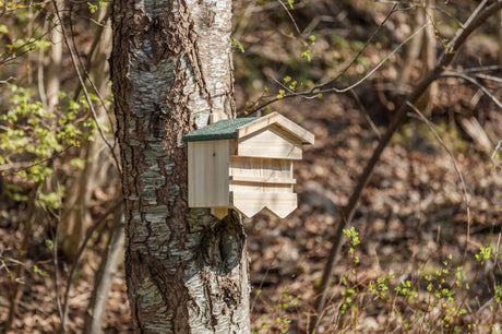 Holz-Nistkasten mit grünem Dach an einem Baum im Wald, umgeben von Ästen und Laub im Hintergrund.
