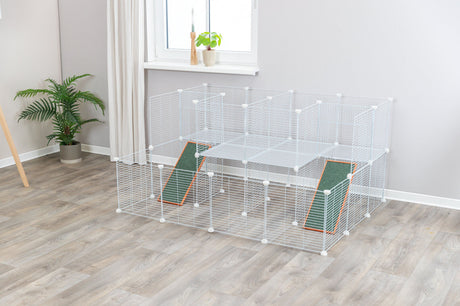 Weiße Gitterstruktur mit zwei grünen Rampen auf Holzfußboden, Pflanze im Topf und Fenster im Hintergrund.