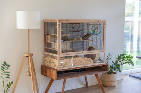 Holz- und Drahtkäfig für Kleintiere auf einem Tisch mit Pflanzen daneben und einer Stehlampe links.