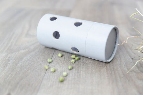 Grauer Papierzylinder mit runden Löchern auf Holzboden, daneben liegen grüne Erbsen und trockene Grashalme.