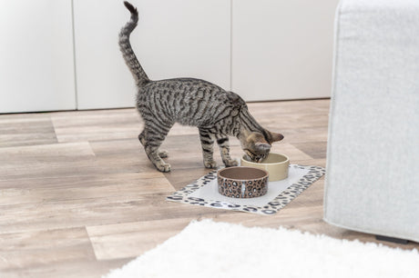 Eine getigerte Katze trinkt aus einem Napf auf einem gefleckten Platzset im Wohnzimmer.