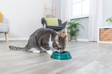 PHO_PRO_CAT_2474-4