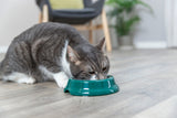 PHO_PRO_CAT_2474-5